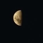 Photo taken by Devon B