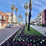 Photo taken by Tom L