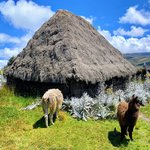 Photo taken by Jon P