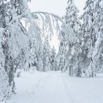 Photo taken by Raylene C