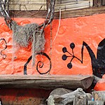 Photo taken by Janice B