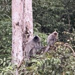 Photo taken by Edit M