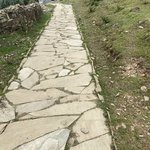 Photo taken by Wayne D