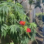 Photo taken by Keyla A