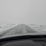 Photo taken by Dawn S