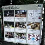 Photo taken by Jon A