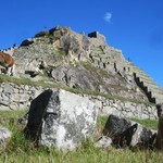 Llamas at Machu Picchu | Photo taken by Jennifer S