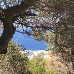 Photo taken by Cheryl L