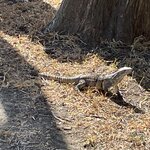 Photo taken by Kristen L