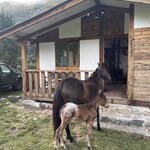 Photo taken by enrique jose g