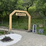 Photo taken by Grace S