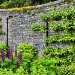 Photo taken by Brett T