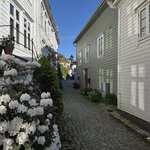 Photo taken by Vikki M