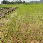 Photo taken by Susan R