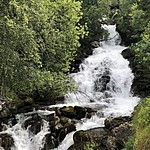 Photo taken by Xinyu S