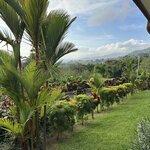 Photo taken by Randy H