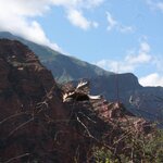 Photo taken by Stephen s