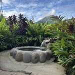 Photo taken by Brooke M