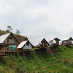 Photo taken by Erika P