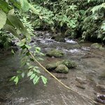 Coffee and chocolate farm tour | Photo taken by Diane B