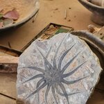 Photo taken by Laura S