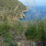 Photo taken by alex p