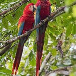 Photo taken by Penelope S