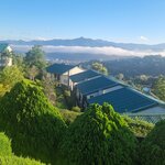 Photo taken by Tanya G