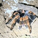 Photo taken by Mary D