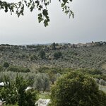 Photo taken by Michelle P