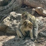 Photo taken by Della O