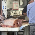 Photo taken by Marcia G