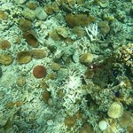 Photo taken by Izabella L