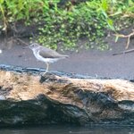 Photo taken by Holly B