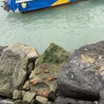 Photo taken by Kayla H