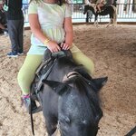 Photo taken by Melissa C