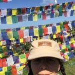 Buddhist prayer flags in tree tops | Photo taken by Janet M