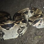 Photo taken by Cindy R