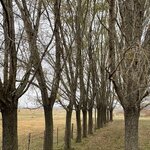 Photo taken by Graciela P