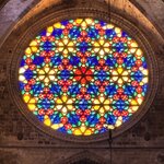 Photo taken by Suzanne C