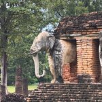 Photo taken by Kevin M