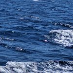 Photo taken by PADMABEN P