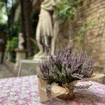 Photo taken by Amanda F