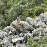 Photo taken by Lori S