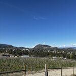 Photo taken by Fernanda S