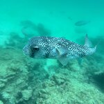 Photo taken by Lisa P