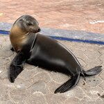 Photo taken by Carla C