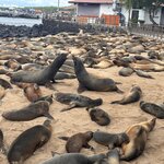 Photo taken by Ben S