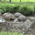 Photo taken by Mark A