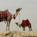 Photo taken by Maryann S